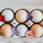 Vegan Meat Alternatives | Soy, Tofu, Seitan and More