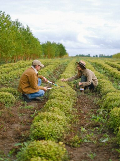 How to start a vegetable business