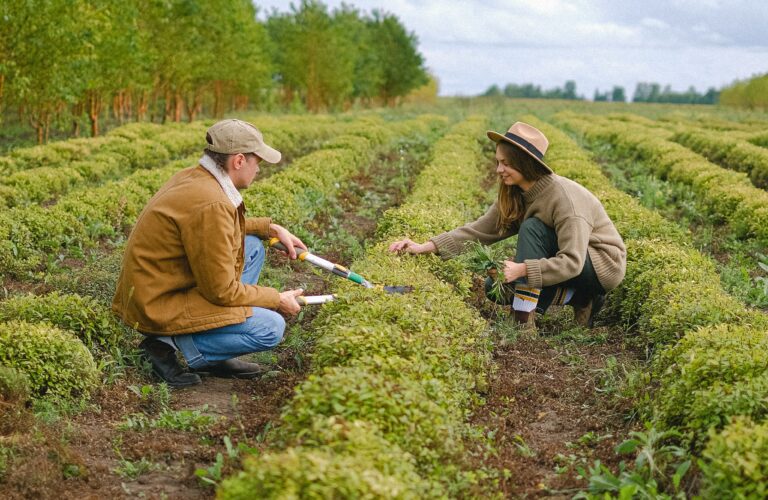 How to start a vegetable business