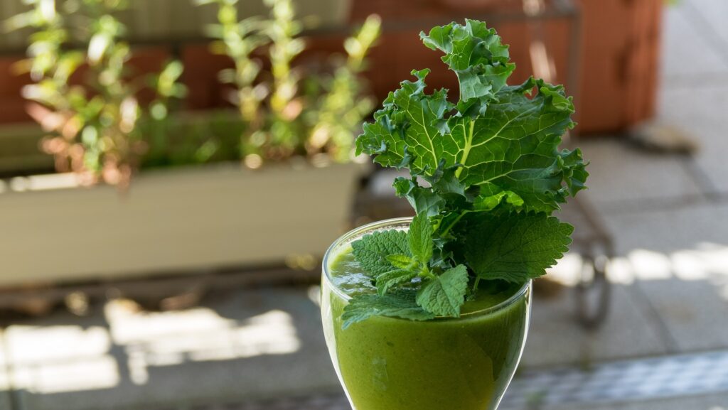 How to grow kale indoors