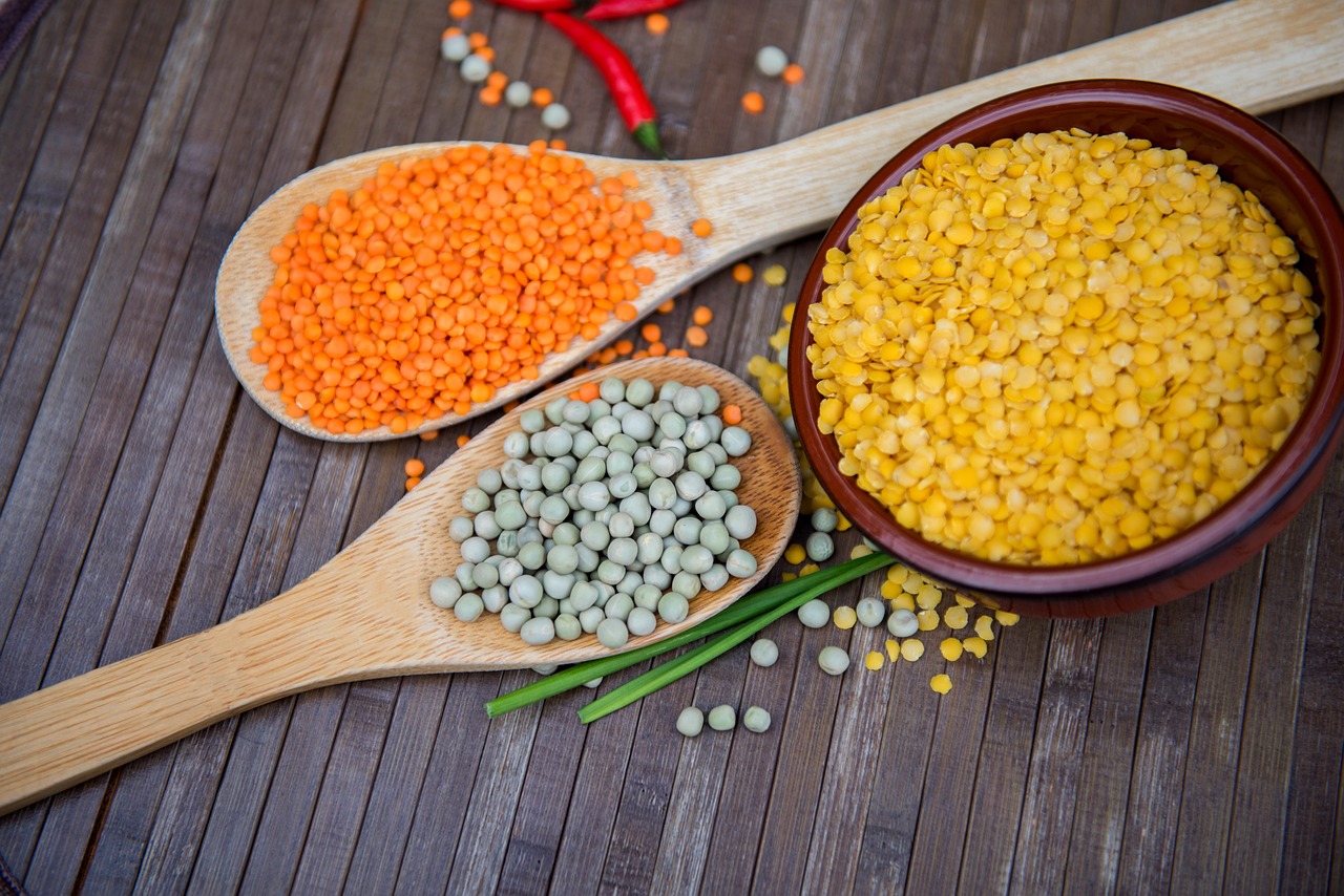 Top 10 Vegan protein sources for vegans on a budget